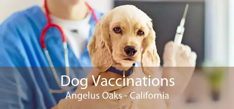 Dog Vaccinations Angelus Oaks - California