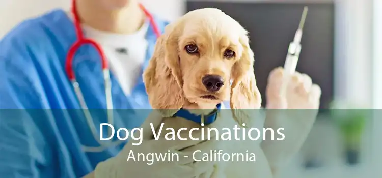 Dog Vaccinations Angwin - California