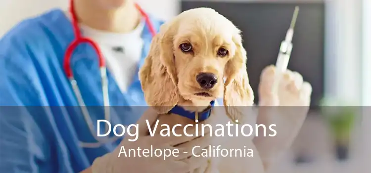 Dog Vaccinations Antelope - California