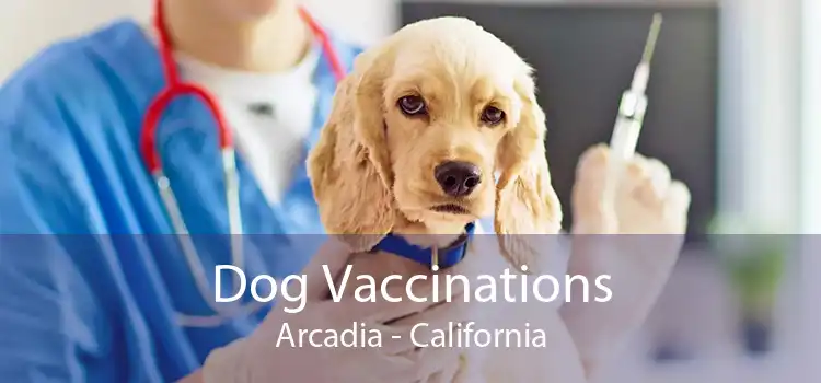 Dog Vaccinations Arcadia - California