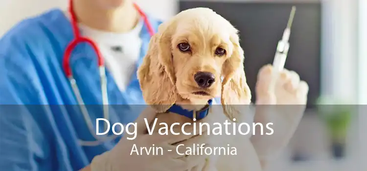 Dog Vaccinations Arvin - California