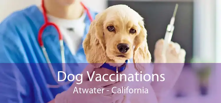 Dog Vaccinations Atwater - California