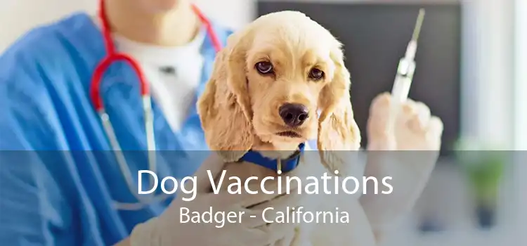 Dog Vaccinations Badger - California