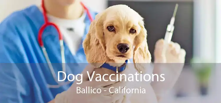 Dog Vaccinations Ballico - California