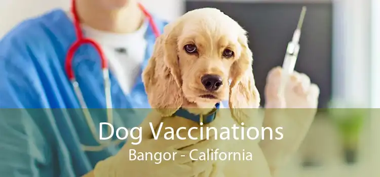 Dog Vaccinations Bangor - California