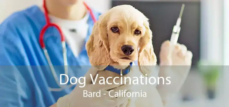 Dog Vaccinations Bard - California