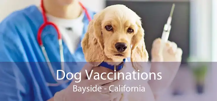 Dog Vaccinations Bayside - California