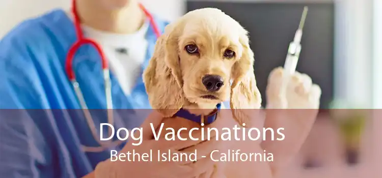 Dog Vaccinations Bethel Island - California
