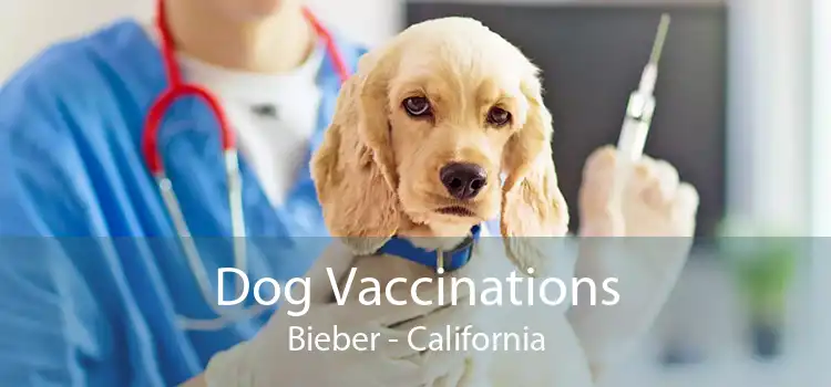 Dog Vaccinations Bieber - California