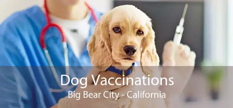 Dog Vaccinations Big Bear City - California