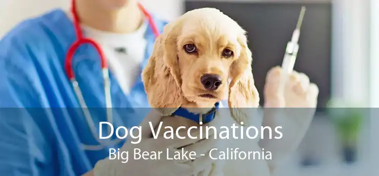 Dog Vaccinations Big Bear Lake - California