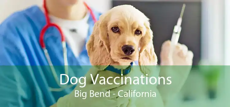 Dog Vaccinations Big Bend - California