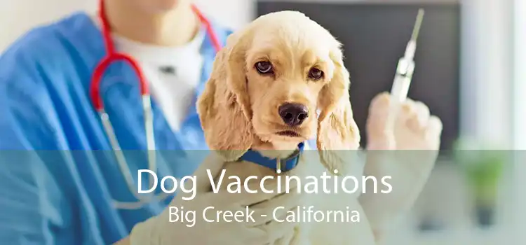 Dog Vaccinations Big Creek - California