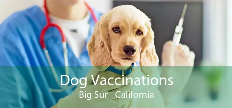 Dog Vaccinations Big Sur - California