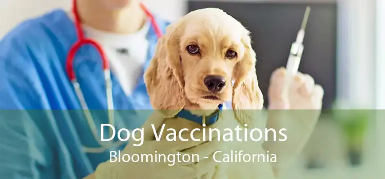 Dog Vaccinations Bloomington - California