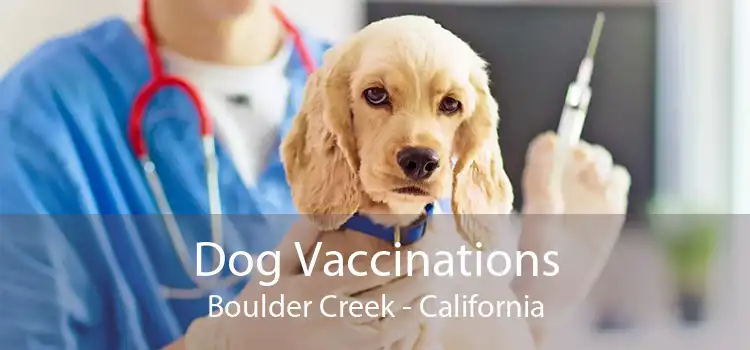 Dog Vaccinations Boulder Creek - California