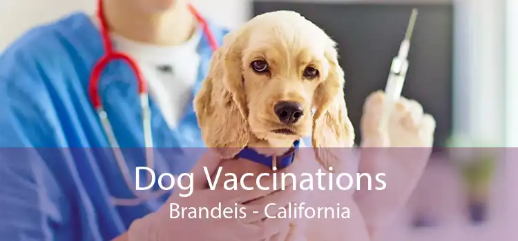 Dog Vaccinations Brandeis - California