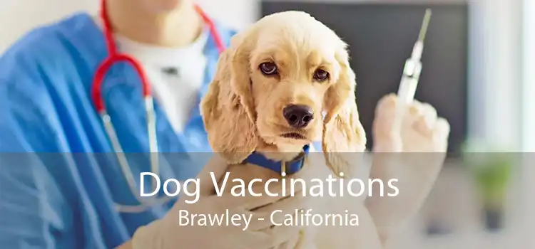 Dog Vaccinations Brawley - California
