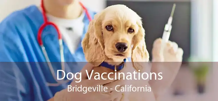 Dog Vaccinations Bridgeville - California