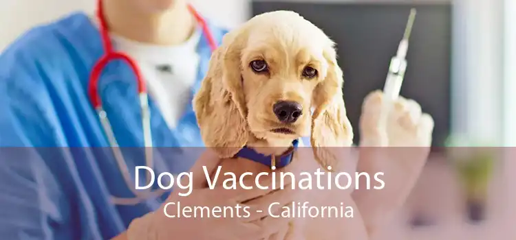 Dog Vaccinations Clements - California