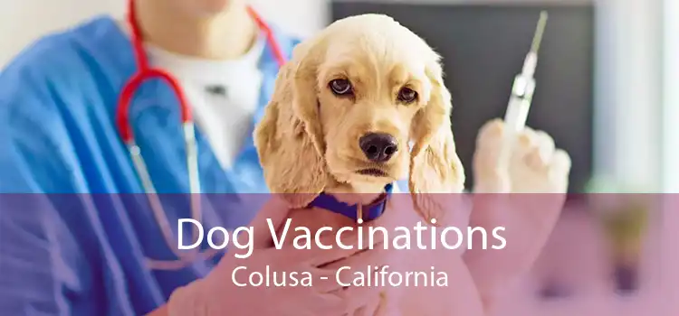 Dog Vaccinations Colusa - California