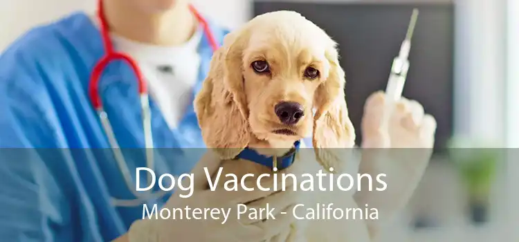 Dog Vaccinations Monterey Park - California