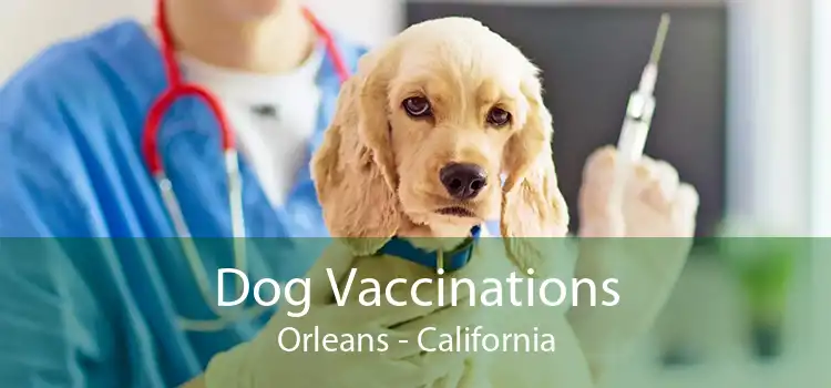 Dog Vaccinations Orleans - California