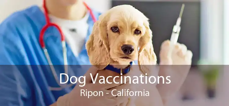 Dog Vaccinations Ripon - California