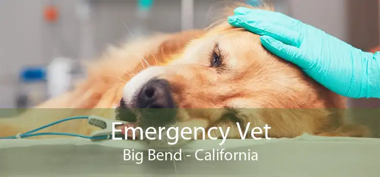 Emergency Vet Big Bend - California