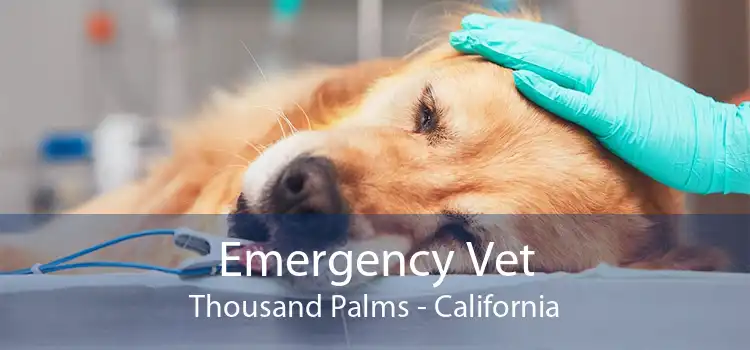 Emergency Vet Thousand Palms - California