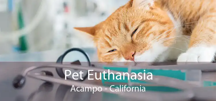 Pet Euthanasia Acampo - California