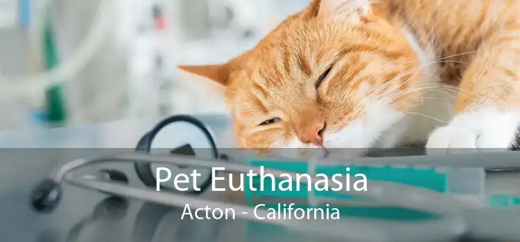 Pet Euthanasia Acton - California