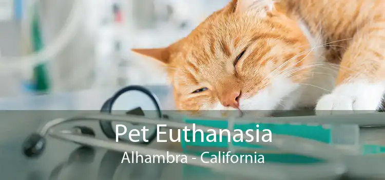 Pet Euthanasia Alhambra - California