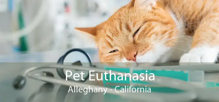 Pet Euthanasia Alleghany - California