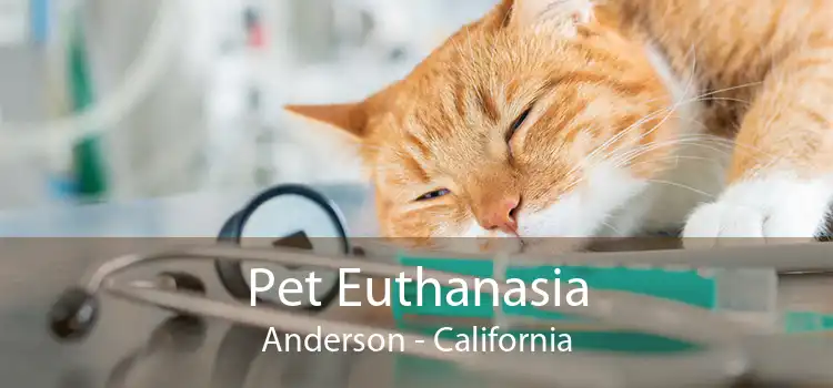 Pet Euthanasia Anderson - California