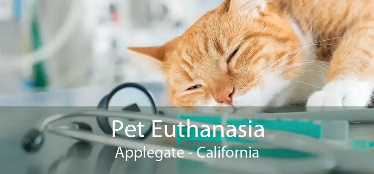Pet Euthanasia Applegate - California