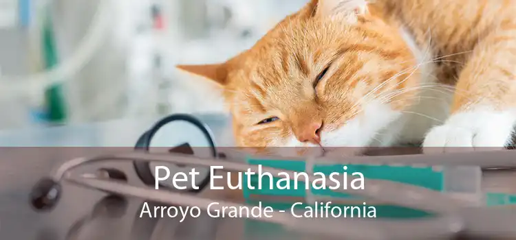 Pet Euthanasia Arroyo Grande - California