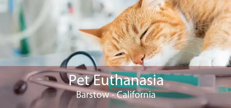 Pet Euthanasia Barstow - California