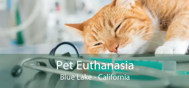 Pet Euthanasia Blue Lake - California
