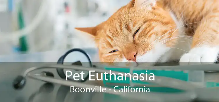 Pet Euthanasia Boonville - California