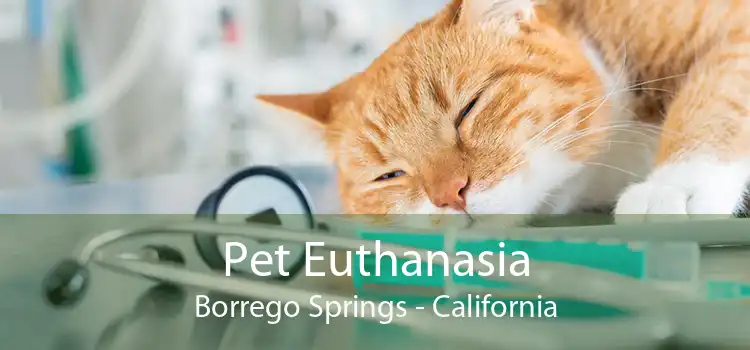Pet Euthanasia Borrego Springs - California