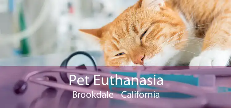 Pet Euthanasia Brookdale - California