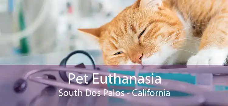 Pet Euthanasia South Dos Palos - California