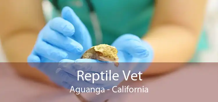 Reptile Vet Aguanga - California