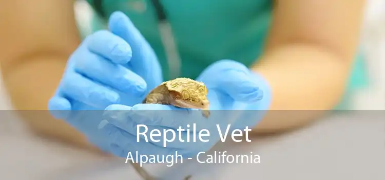 Reptile Vet Alpaugh - California