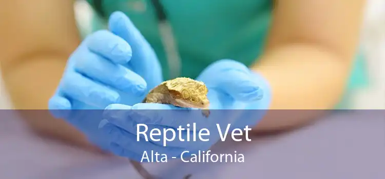 Reptile Vet Alta - California