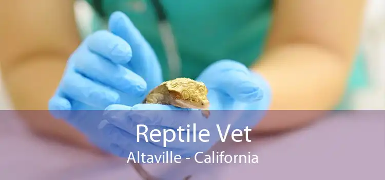 Reptile Vet Altaville - California