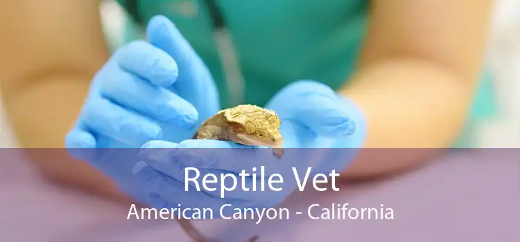 Reptile Vet American Canyon - California