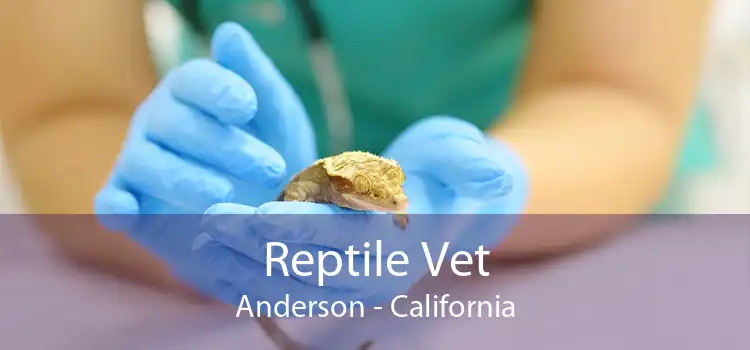 Reptile Vet Anderson - California
