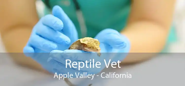 Reptile Vet Apple Valley - California